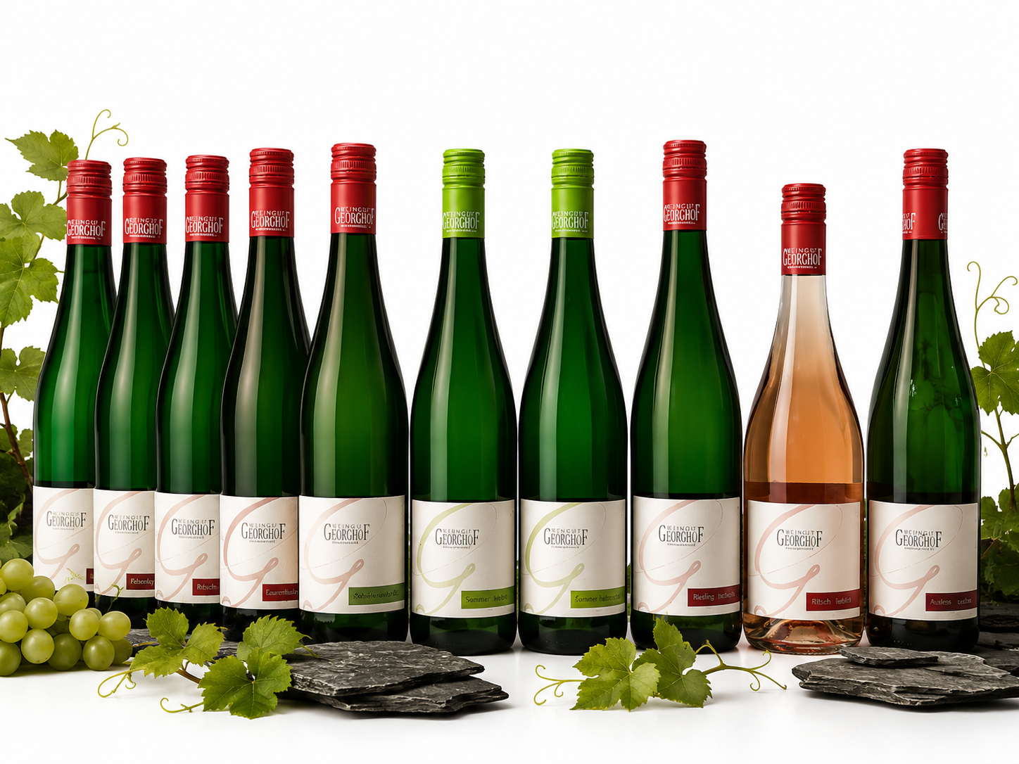 Probierpaket 2 und 4: Rieslinge trocken und 2025 Kollektion
