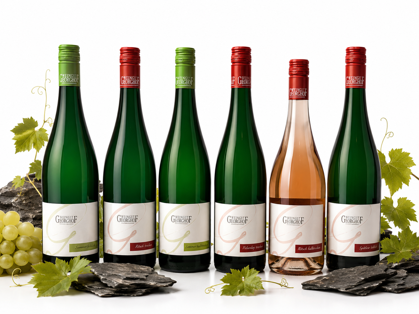Probierpaket 4: 2025 Kollektion