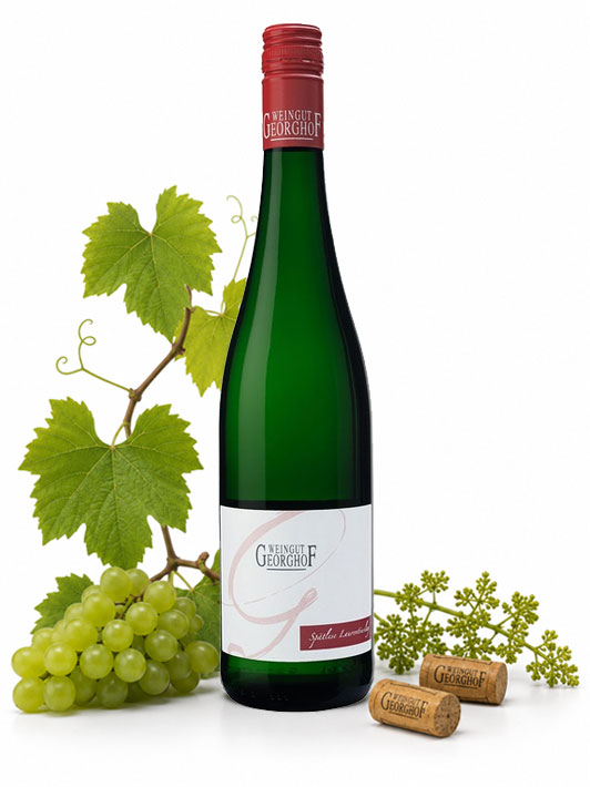 2025 Riesling „Felsenlay“ trocken